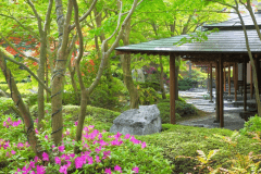 当館の庭園は館内の各所から眺めることができます。