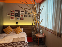 デラックスツイン203