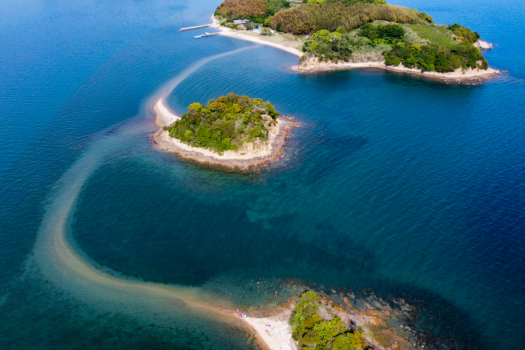 【素泊り】<simple stay>自由に素泊まり・持ち込みプラン~”渚まで徒歩5秒”。 波の音に癒されるオーシャンリゾートヴィラ~ 【素泊り】<simple stay>自由に素泊まり・持ち込みプラン~”渚まで徒歩5秒”。 波の音に癒されるオーシャンリゾートヴィラ~