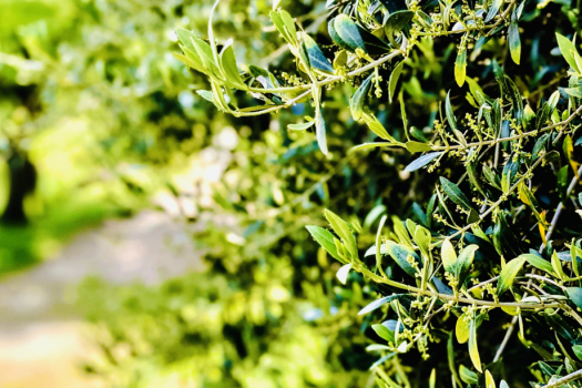 【素泊り】<simple stay>自由に素泊まり・持ち込みプラン~”渚まで徒歩5秒”。 波の音に癒されるオーシャンリゾートヴィラ~ 【素泊り】<simple stay>自由に素泊まり・持ち込みプラン~”渚まで徒歩5秒”。 波の音に癒されるオーシャンリゾートヴィラ~