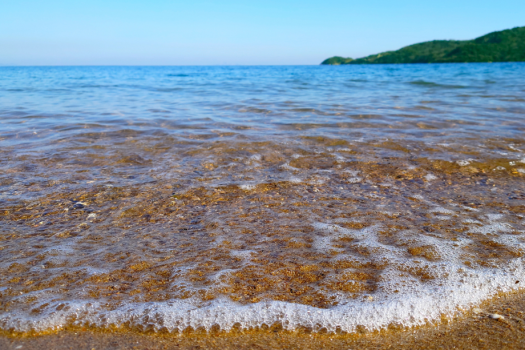 【素泊り】<simple stay>自由に素泊まり・持ち込みプラン~”渚まで徒歩5秒”。 波の音に癒されるオーシャンリゾートヴィラ~ 【素泊り】<simple stay>自由に素泊まり・持ち込みプラン~”渚まで徒歩5秒”。 波の音に癒されるオーシャンリゾートヴィラ~