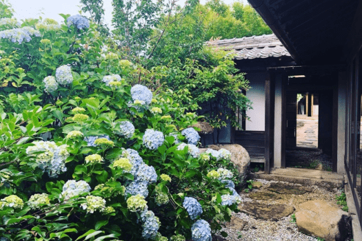 【季節の風景】［春］