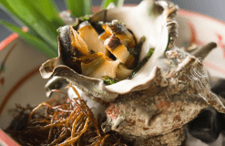 極稀少！市場に出ない『城ヶ崎超特大サザエ』プラン