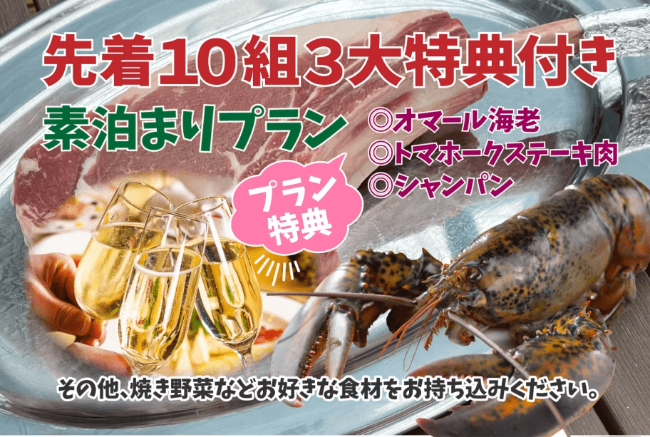 ★先着10組限定！秋･冬の３大特典付き★【素泊まりプラン】手ぶらでキャンプ！森の星空グランピング！食材と飲み物だけ準備すればOK！調理道具食器付き！手軽にアウトドアを楽しみたい！