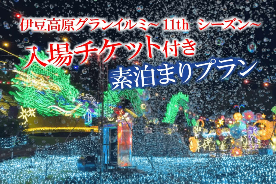 【グランイルミチケット付き素泊まりプラン】手ぶらでキャンプ！森の星空グランピング！食材と飲み物だけ準備すればOK！調理道具食器付き！手軽にアウトドアを楽しみたい！