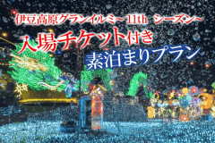 【グランイルミチケット付き素泊まりプラン】手ぶらでキャンプ！森の星空グランピング！食材と飲み物だけ準備すればOK！調理道具食器付き！手軽にアウトドアを楽しみたい！