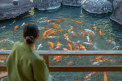 【本館庭園露天風呂付き和洋室】庭園の池で優雅に泳ぐ鯉を眺めながら寛ぎのひと時を