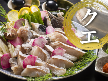 ■クエ鍋■幻の高級魚クエはコラーゲンたっぷり♪ ■クエ鍋■幻の高級魚クエはコラーゲンたっぷり♪
