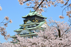 豊臣秀吉ゆかりの『大阪城』まで徒歩約10分!自然散策も可能♪ 豊臣秀吉ゆかりの『大阪城』まで徒歩約10分!自然散策も可能♪