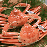 浜坂港で水揚げされた、甘みが強く身がぎっしりと詰まったズワイガニ「浜坂ガニ」