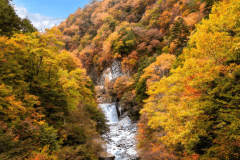 八丁の湯のそばには鬼怒川の源流が流れています。