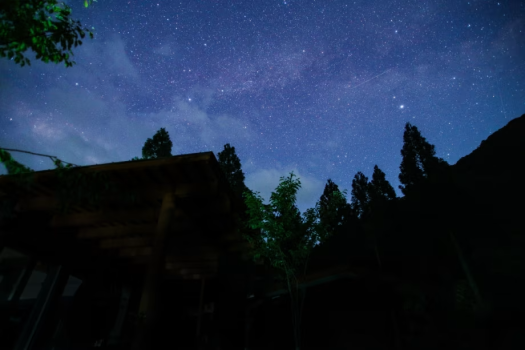 平日限定｜星空に癒される贅沢な一夜
