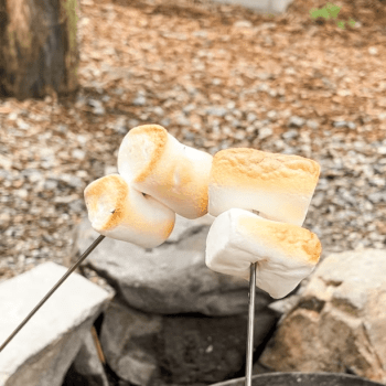 【春休み限定】焚き火でほっこり親子プラン