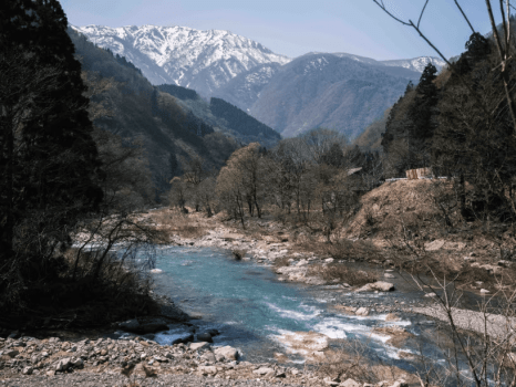 【春休み限定】焚き火でほっこり親子プラン