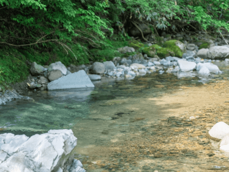 サウナから清流へ直結の贅沢 サウナから清流へ直結の贅沢
