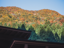 【30日前・早割】シンプルプラン（タオルのみ）