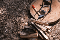 【春休み限定】焚き火でほっこり親子プラン