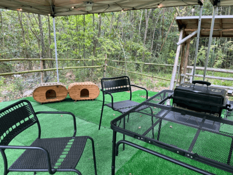 【1日2組限定】愛犬ノーリードOK！自分たちだけの"お庭"を貸切。手ぶら&times;自由な持込スタイルBBQ