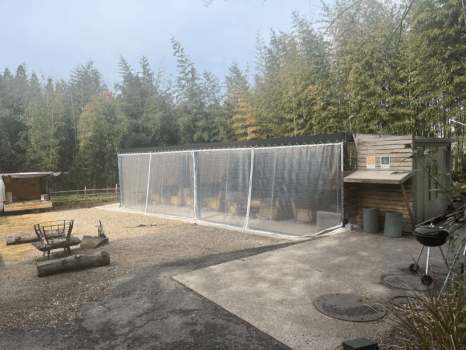 日帰りBBQソファ席【18:00～20:30】(定員6名)