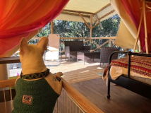 グランピングテント~やすらぎ~(3〜5名用)(4ベッド）