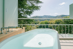 眺めの部屋【露天風呂付】100%源泉かけ流し(2名定員)