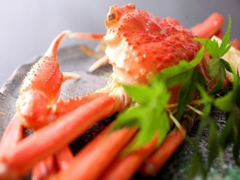【石川グルメ食べ尽くし】ズワイ蟹＆和牛すき焼き×新鮮お造りを満喫♪【期間限定】