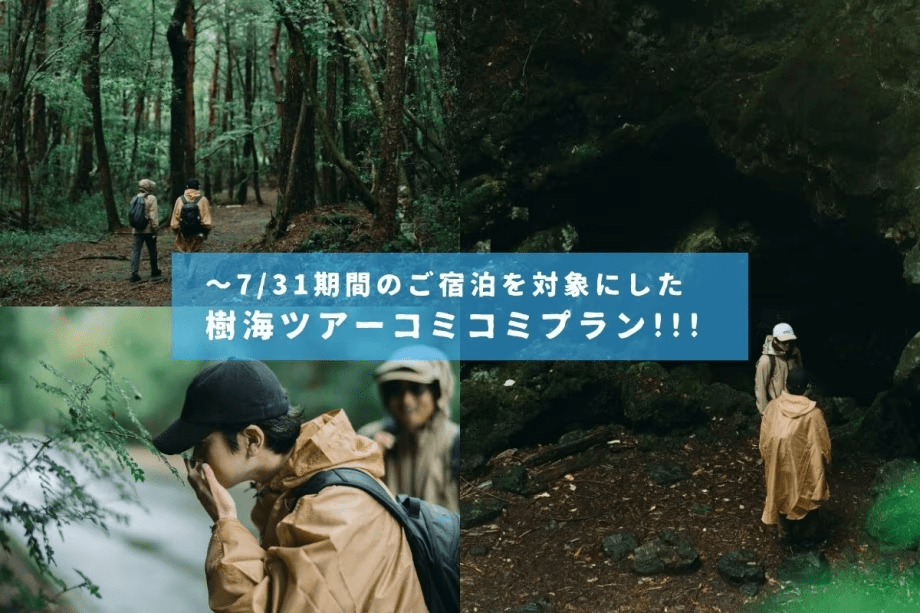 初心者でも安心！【ガイド付き】富士の樹海リトリート期間限定プラン　＊夕朝食付き＆焚火付き
