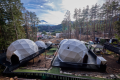 プレミアムベルテント～富士桜ポーク・甲州牛ご当地BBQプラン！”富士山・山梨”の土地が育む豊かな美味をBBQで存分に味わう〜1泊２食付きのお得な焚き火セットプラン