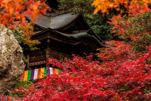 那谷寺■紅葉イメージ■