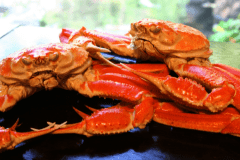 ●蟹一杯付き会席イメージ●人気の会席です！蟹を丸ごと１杯召し上がりたいお客様には、お勧めです！