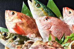 ■お造り４種盛りイメージ■毎朝、市場より直送の鮮魚！旬の食材を提供致しております。