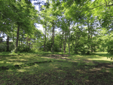 近くに町道の街灯があります。ご了承ください。