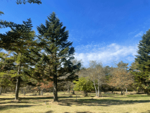 ソロキャンプ（芝生エリア  GW、3連休、お盆はご予約不可）