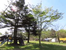 遊具・広場横キャンプサイト（GW、3連休、お盆などの繁忙期のみ予約可）