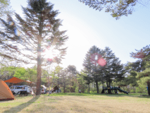 遊具・広場横キャンプサイト（GW、3連休、お盆などの繁忙期のみ予約可）