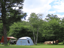 芝生サイト（ファミリー、ご夫婦向け）