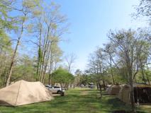 GWの中央エリア。デュオ、ソロキャンパー向けのエリア