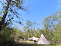 GWの場内。新緑が芽吹き始めます