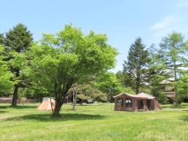 5月。初夏の気持ちのいい芝生エリアの様子