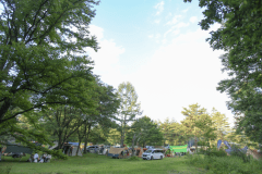 夏のにぎやかな芝生エリア。３連休の様子