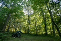 夏のソロサイト