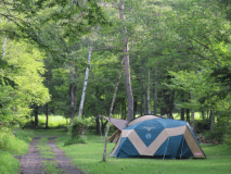 8月下旬ごろのキャンプサイトの様子。通路に面しているのでお出かけが楽。
