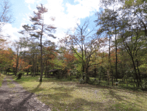 紅葉シーズン（10月中旬ごろ）