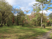 10月の紅葉。葉が徐々に色づいてきています。