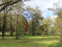 デュオ、ソロキャンパー向けのエリア。10月ごろの様子です。