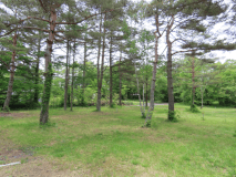 ラージサイト（GW、3連休、お盆などの繁忙期のみ予約可）