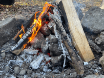 ワイルド直火サイト