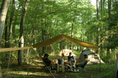 ワイルド直火サイト