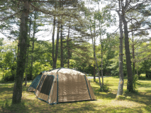 Dayキャンプ（日帰り）