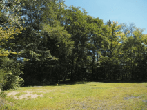 電源サイト（キャンピングカー・トレーラーのご利用可）